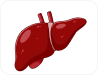 Biliary Tract and Liver
