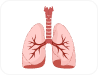 Lungs