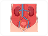 Retroperitoneum