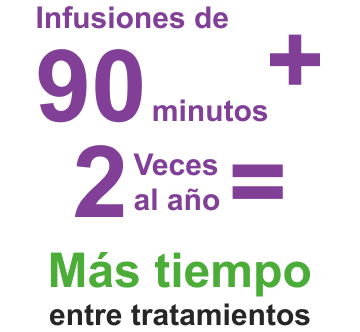Gráfico que muestra que UPLIZNA tiene un programa de dosificación de infusión de 90 minutos dos veces al año después de la dosis inicial, y que este programa puede resultar en más tiempo sin tratamiento