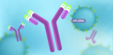 uplizna-targets-B-cells