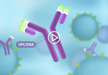 CD19 cell
